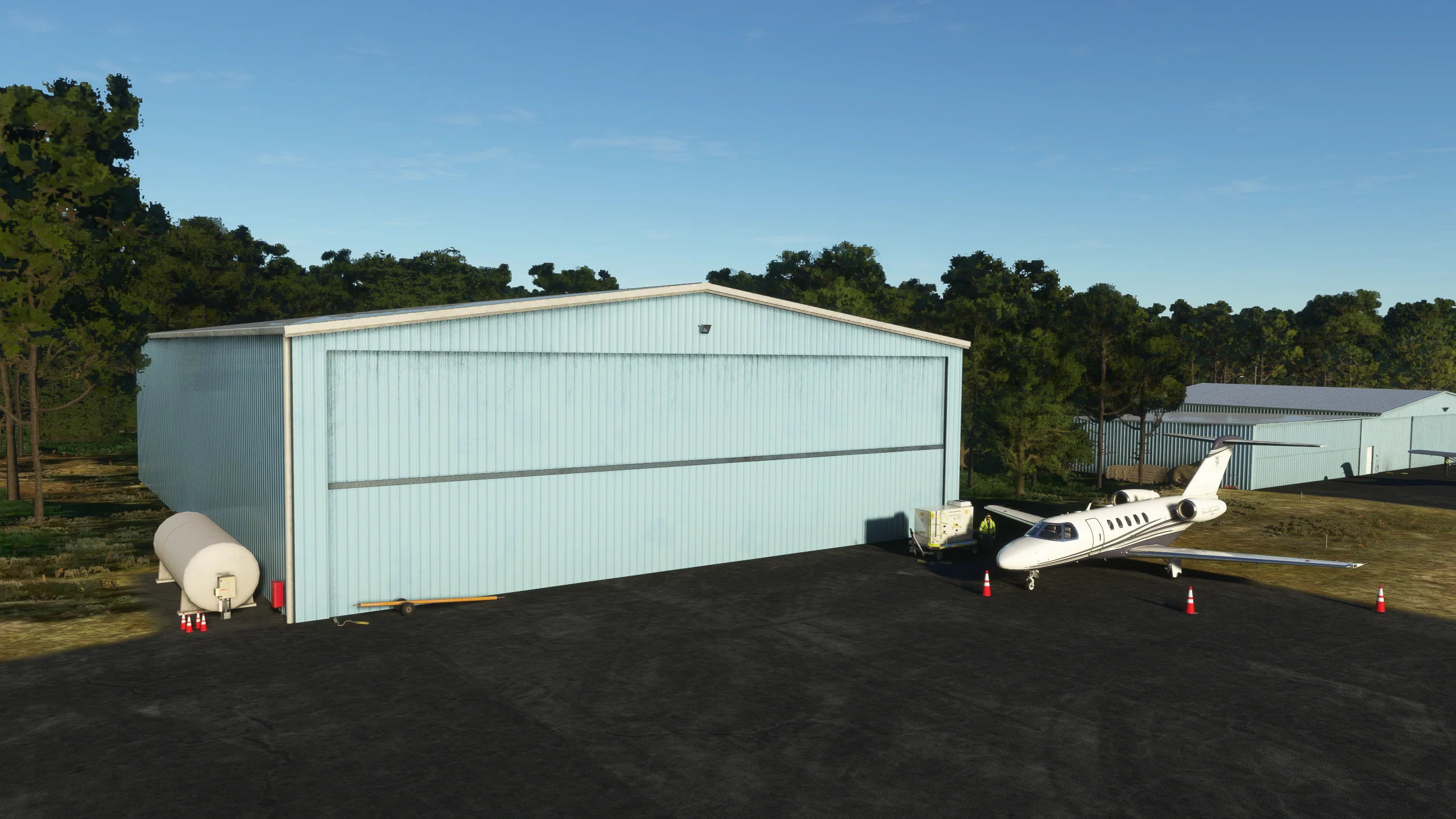 DC Scenery Design Deep Forest (FD48) for MSFS-2020 - Image 8