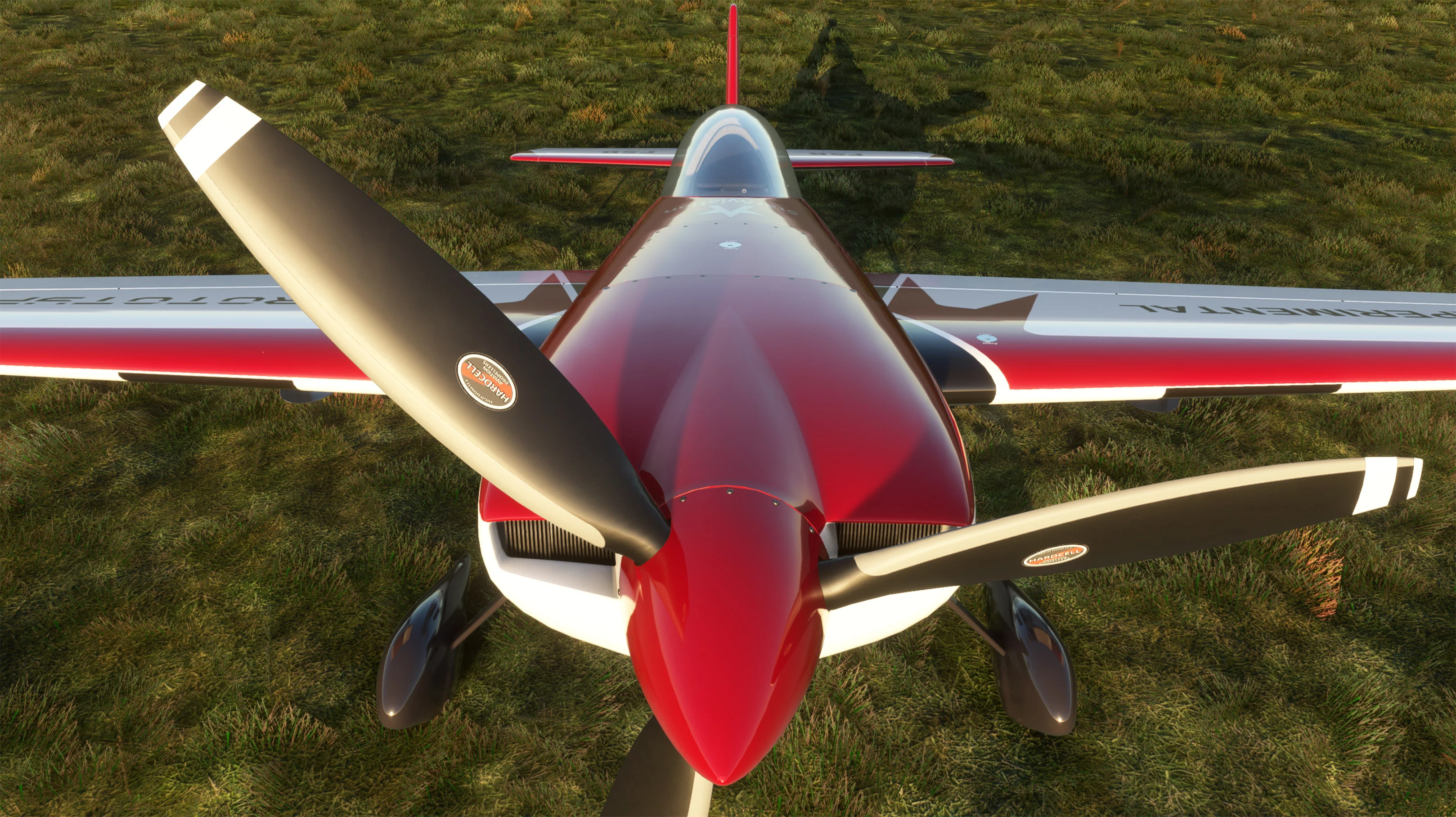 f7 Simulations Eagle S100 for MSFS-2020 - Image 11