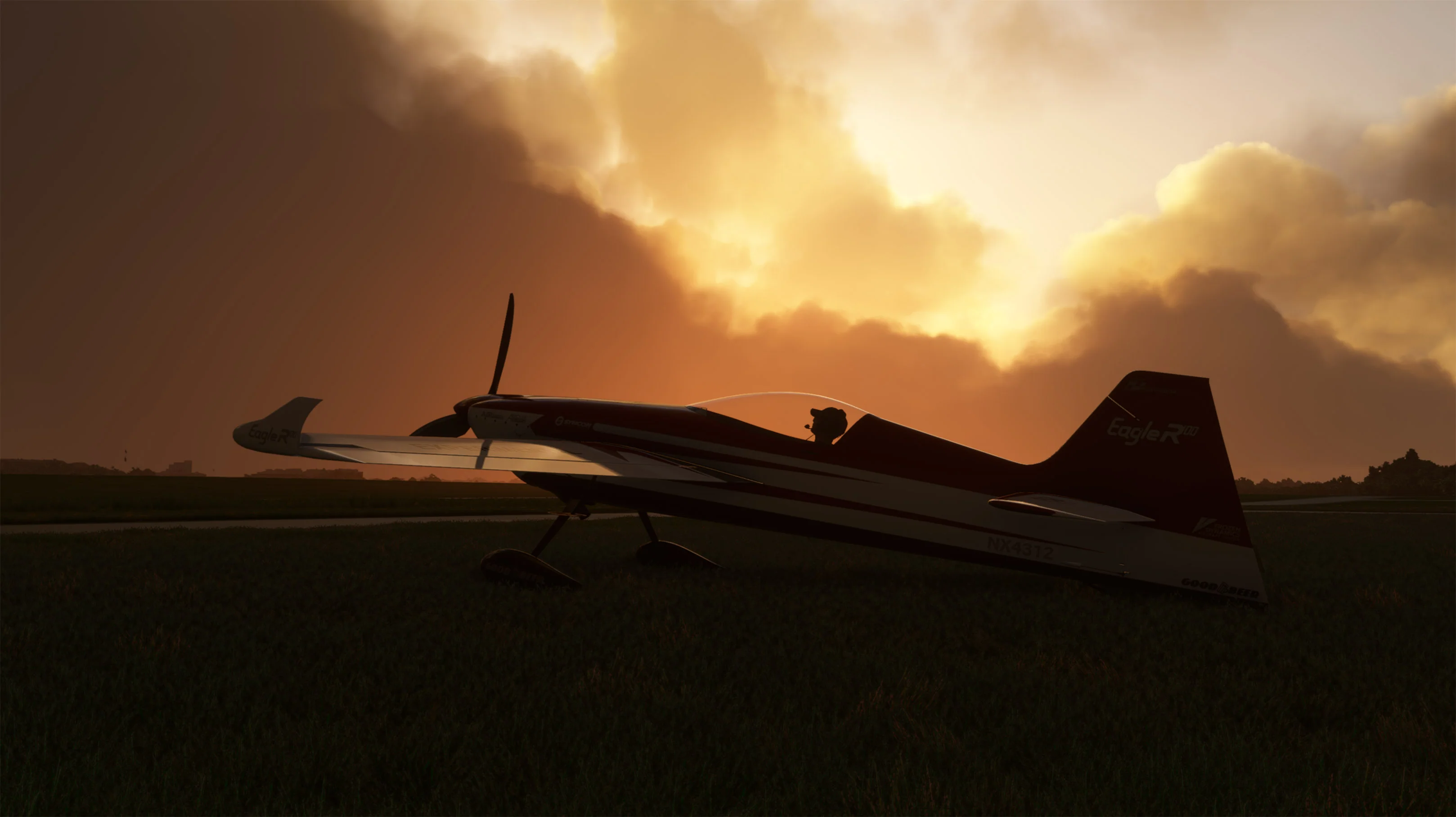 f7 Simulations Eagle S100 for MSFS-2020 - Image 13