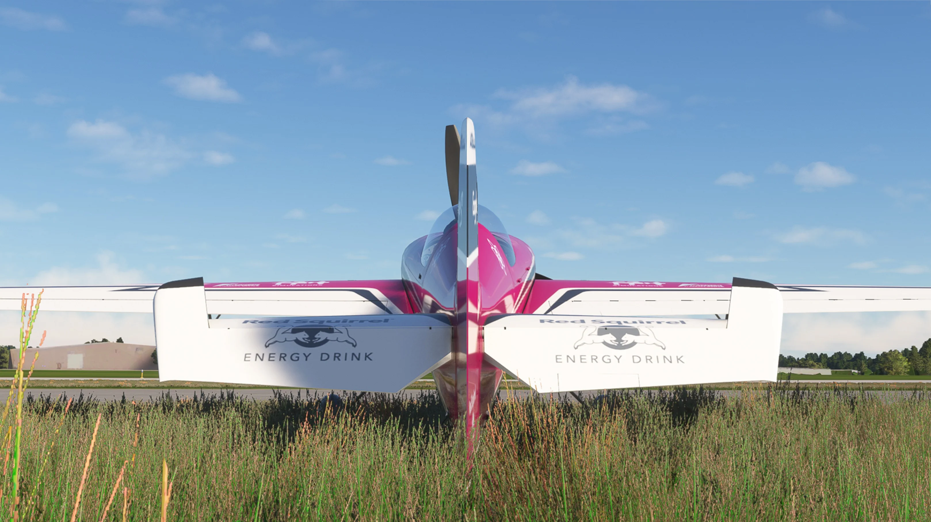 f7 Simulations Eagle S100 for MSFS-2020 - Image 2