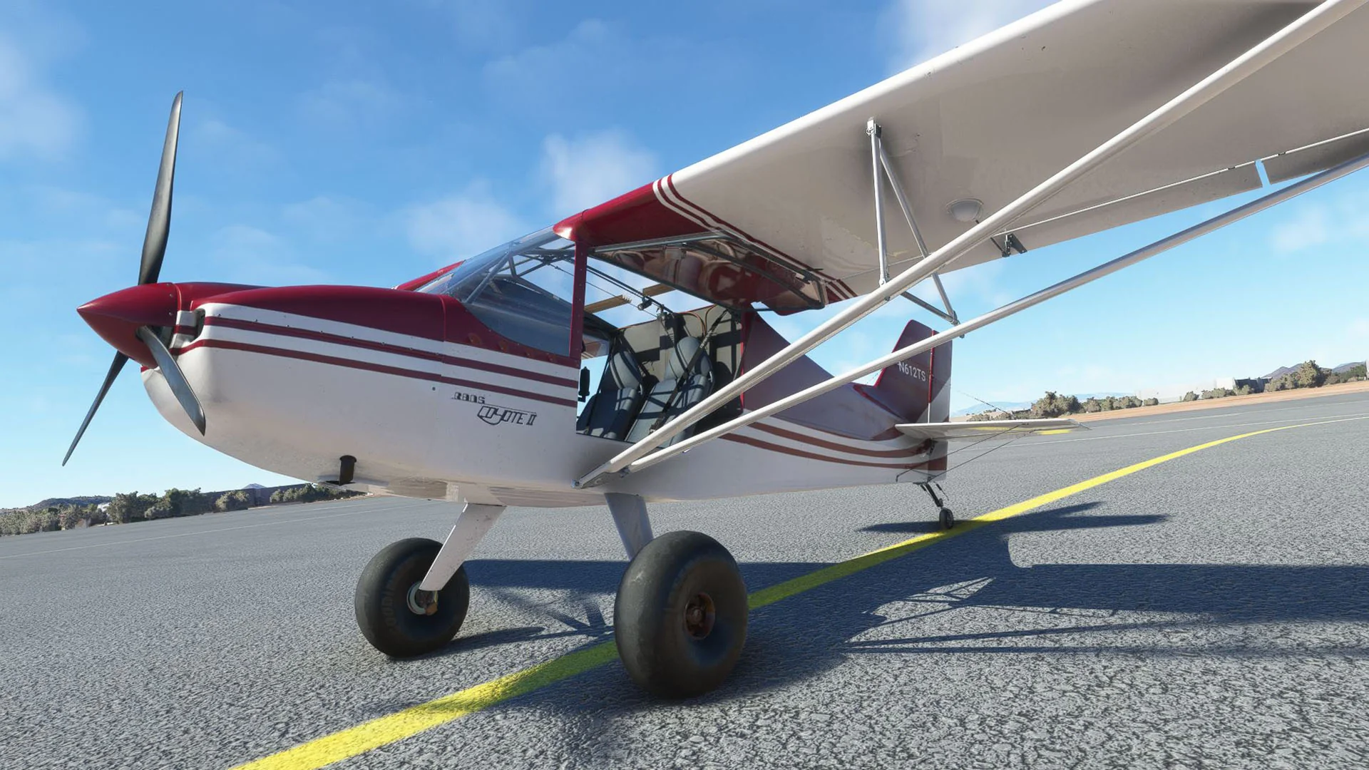 FlyBoy Simulations Rans S6S for MSFS-2020 - Image 7