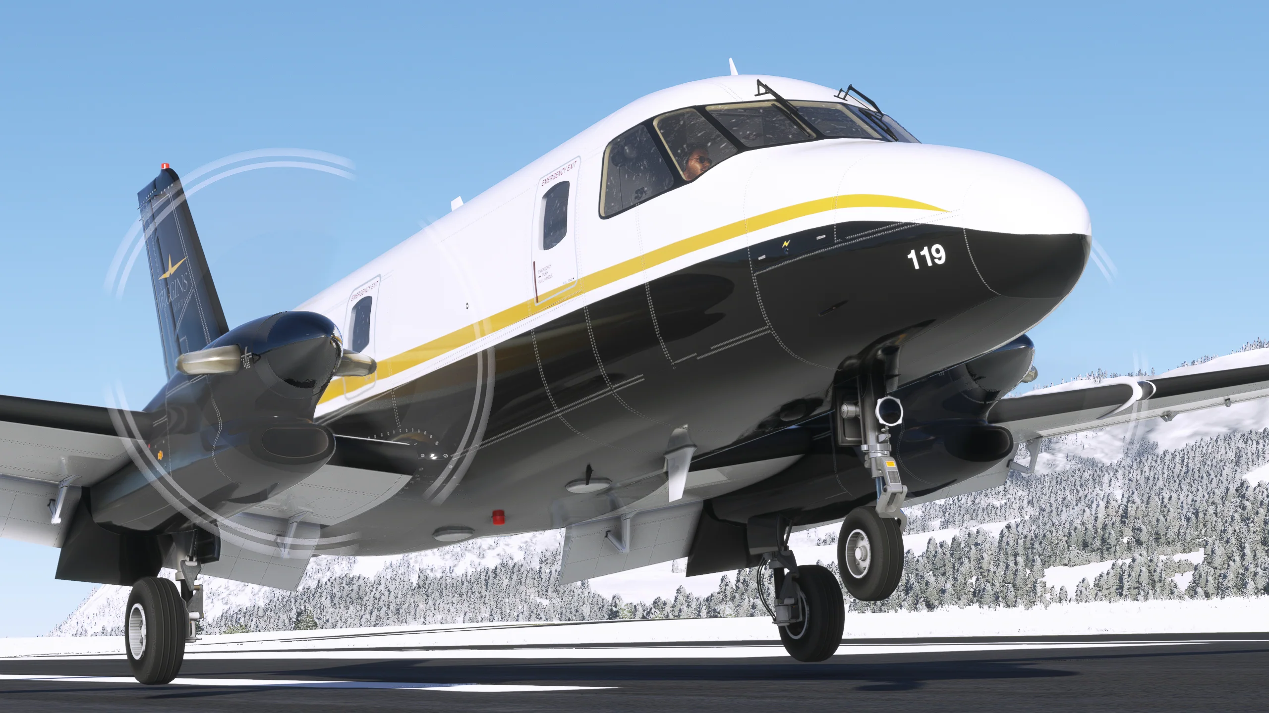 NextGen Simulations EMB-110 Bandeirante for MSFS - Image 11