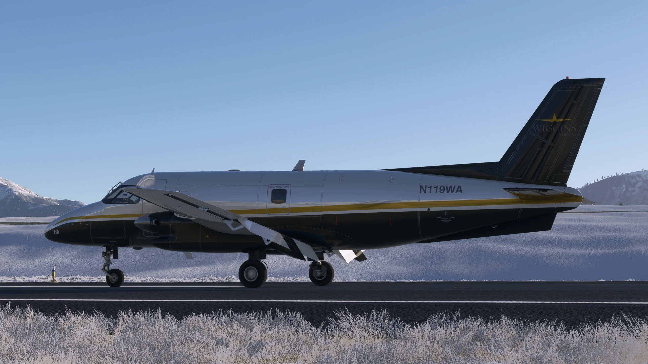 NextGen Simulations EMB-110 Bandeirante for MSFS - Image 13