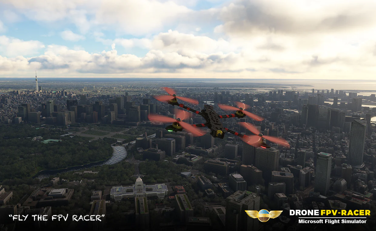 Pilot Experience Sim Drone FPV for MSFS-2020 - Image 5
