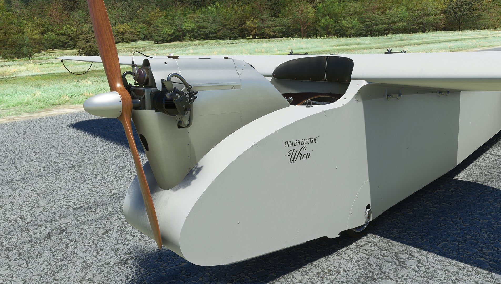 Rara-Avis Sims English Electric Wren for MSFS-2020 - Image 13