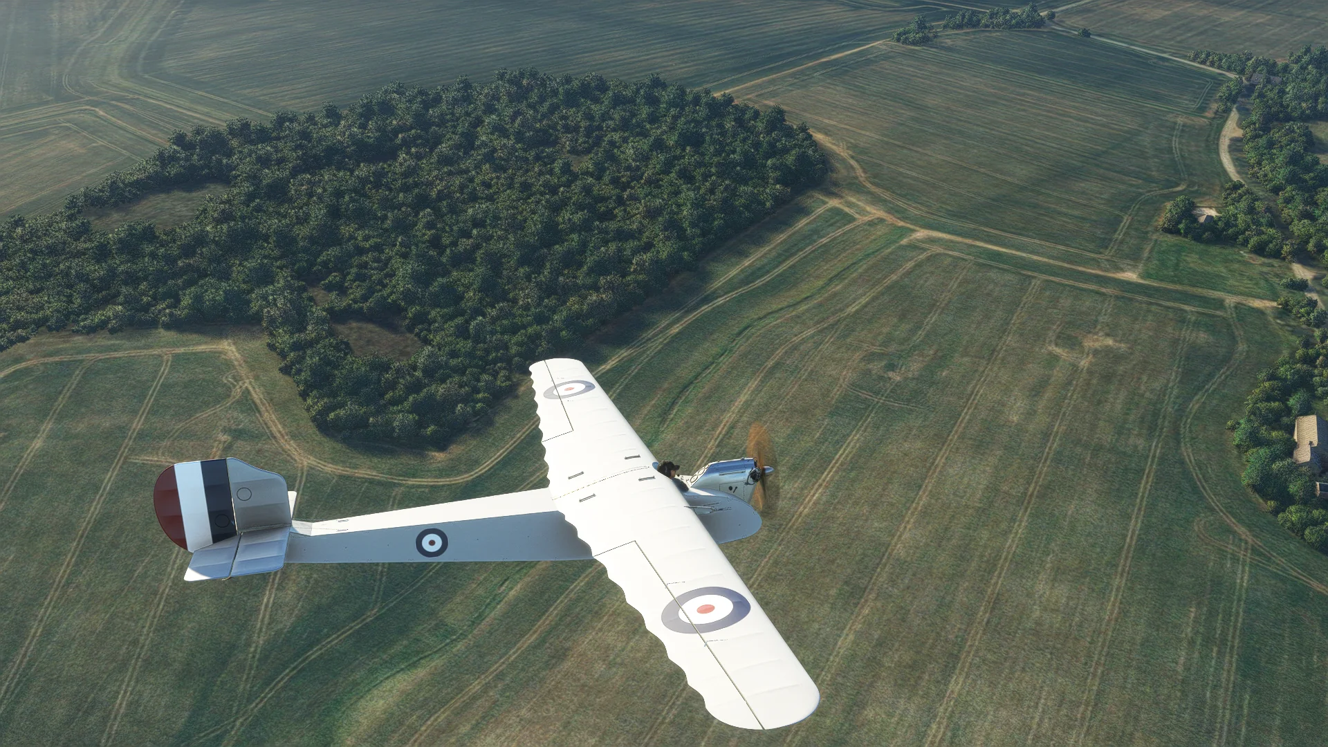 Rara-Avis Sims English Electric Wren for MSFS-2020 - Image 5