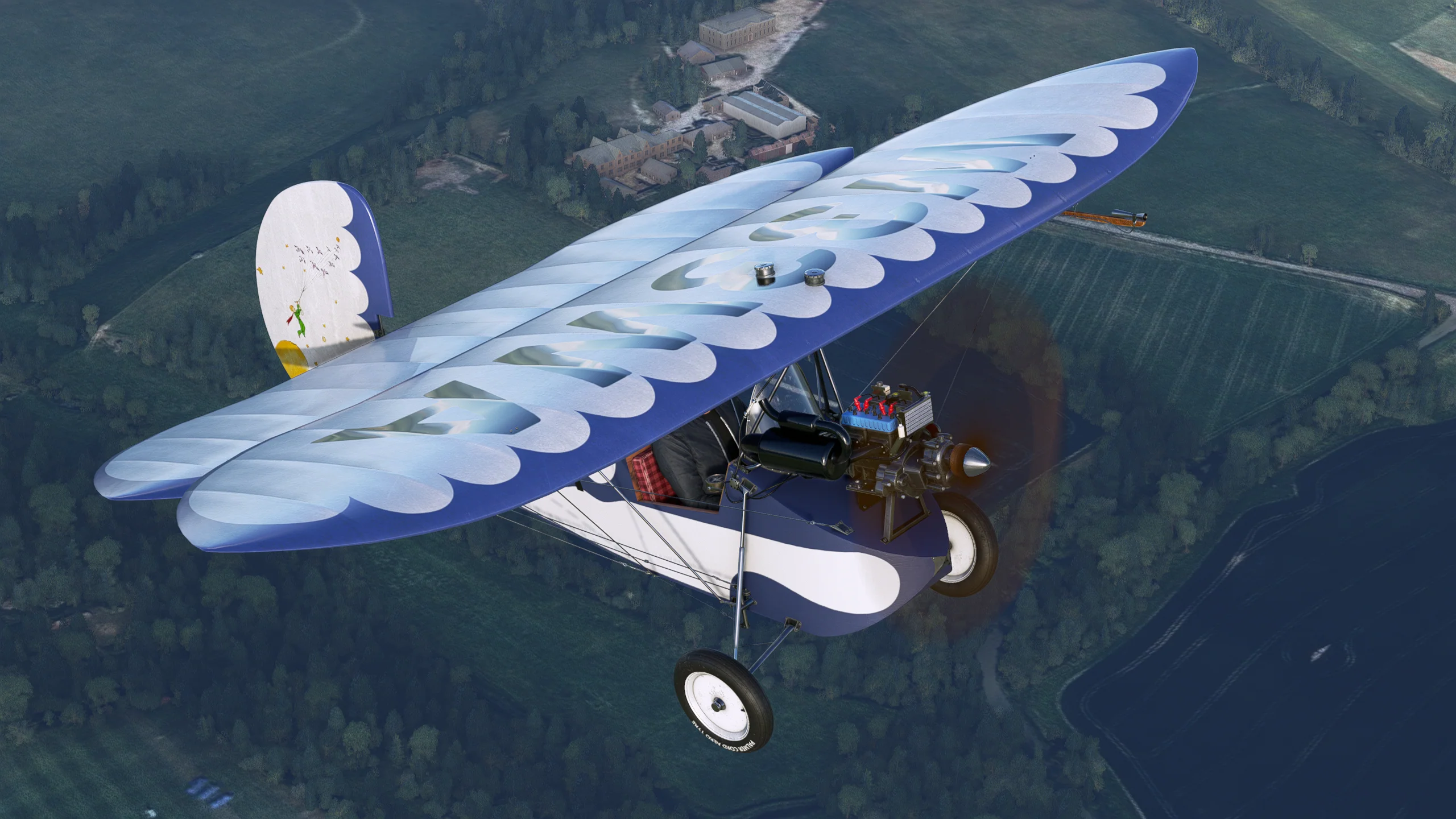 Rara-Avis Sims Flying Flea for MSFS-2020 - Image 10