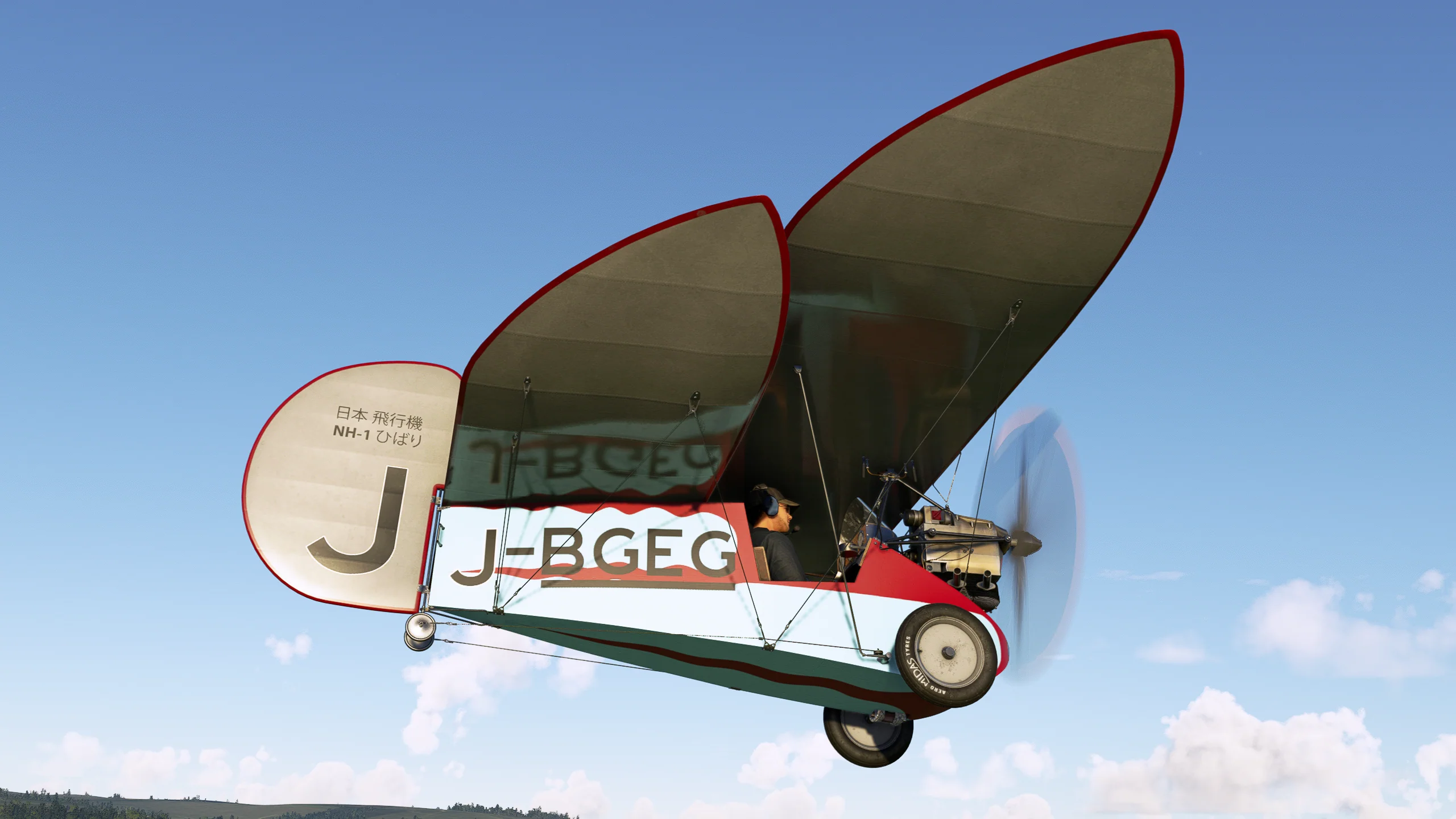 Rara-Avis Sims Flying Flea for MSFS-2020 - Image 11