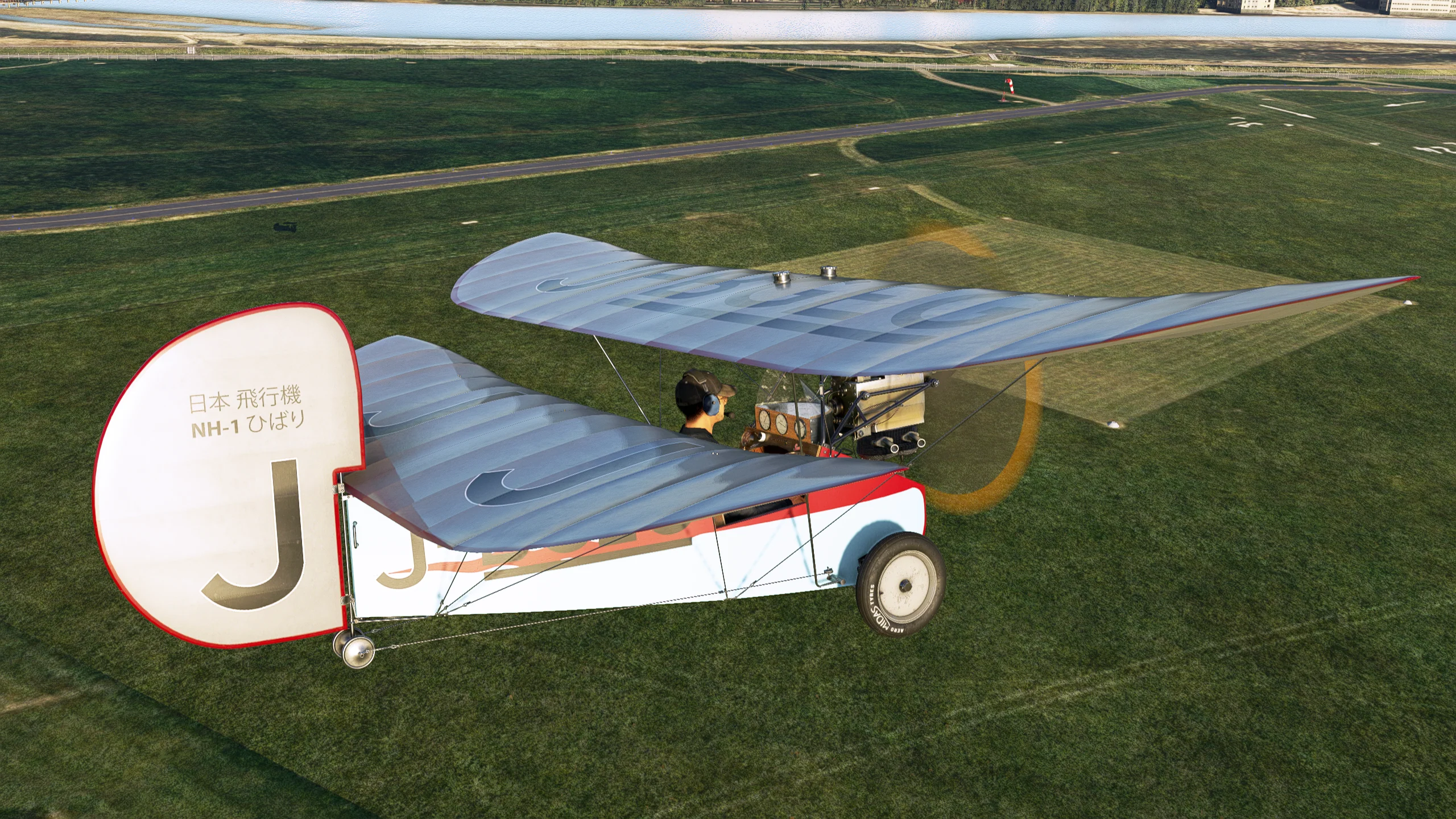 Rara-Avis Sims Flying Flea for MSFS-2020 - Image 12