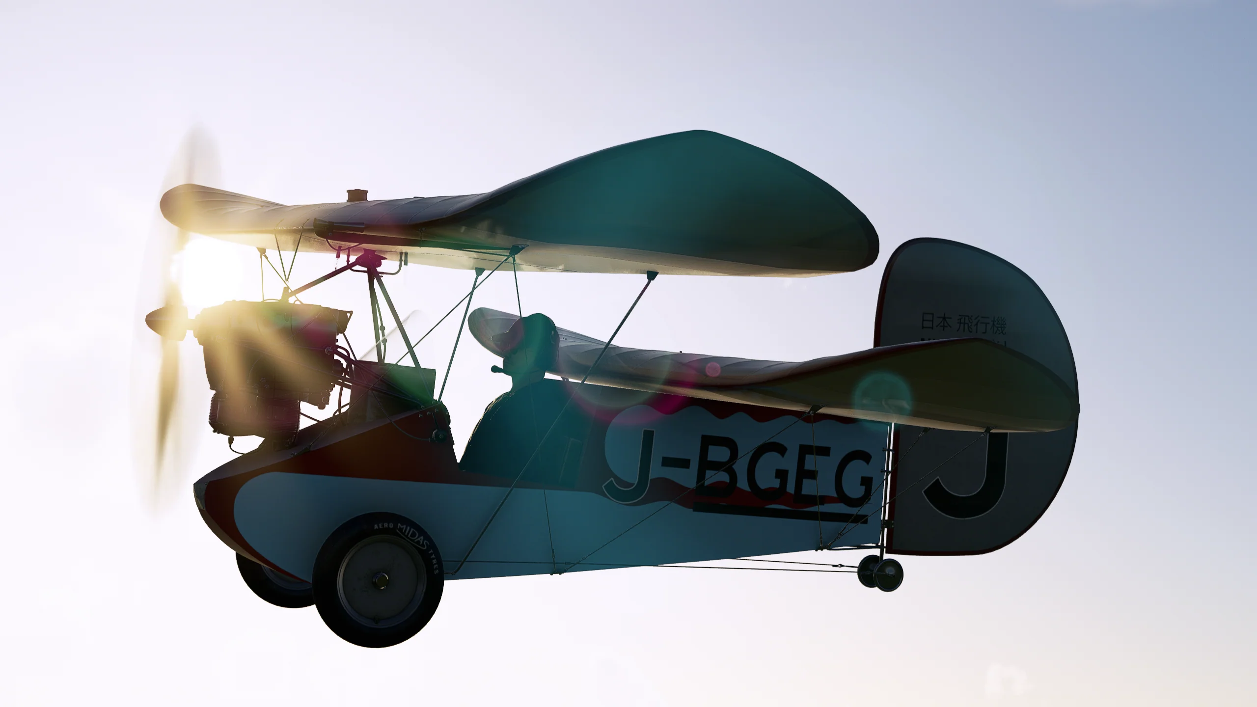 Rara-Avis Sims Flying Flea for MSFS-2020 - Image 13