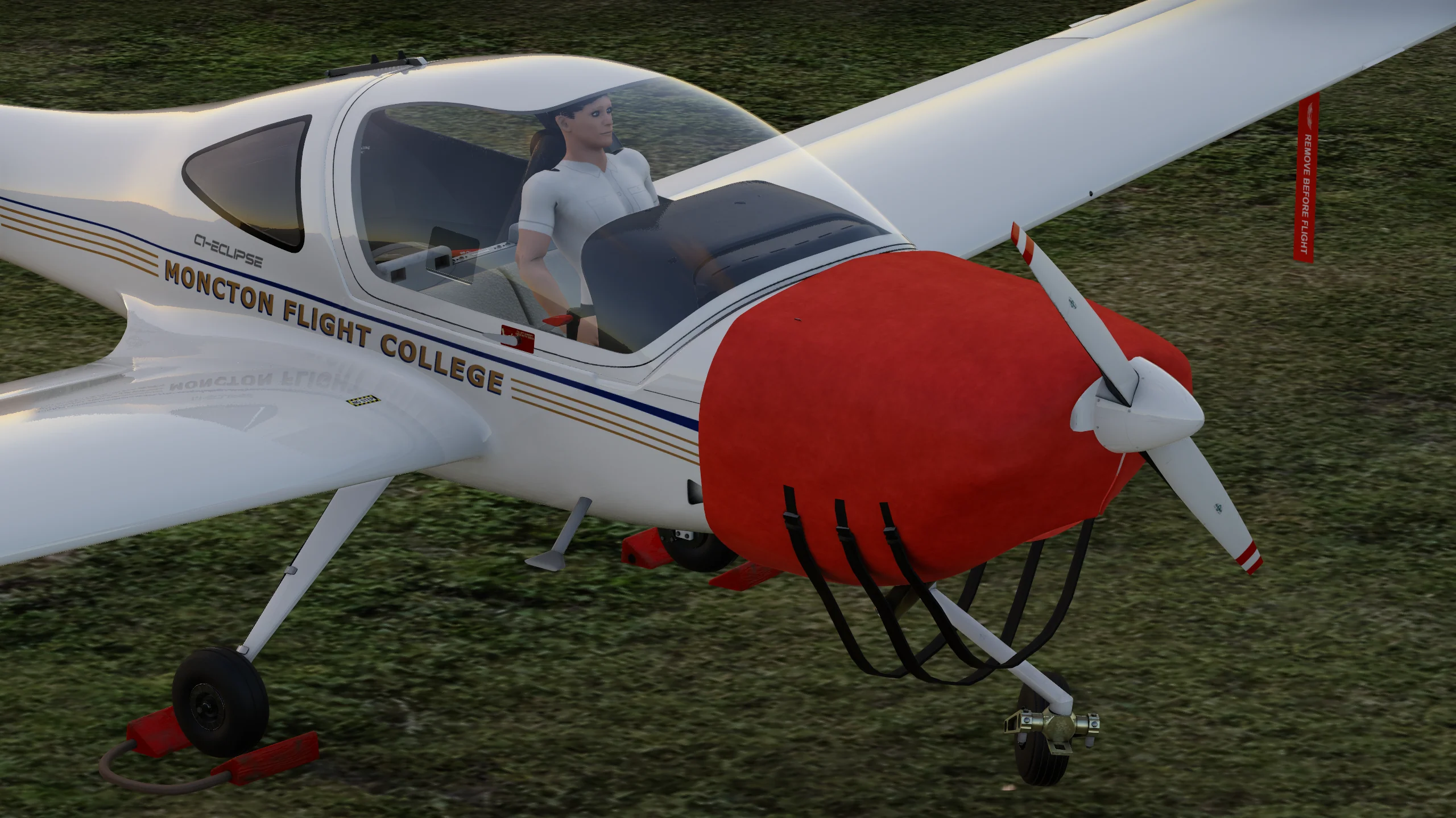 SimSolutions DA20-C1 - Image 13