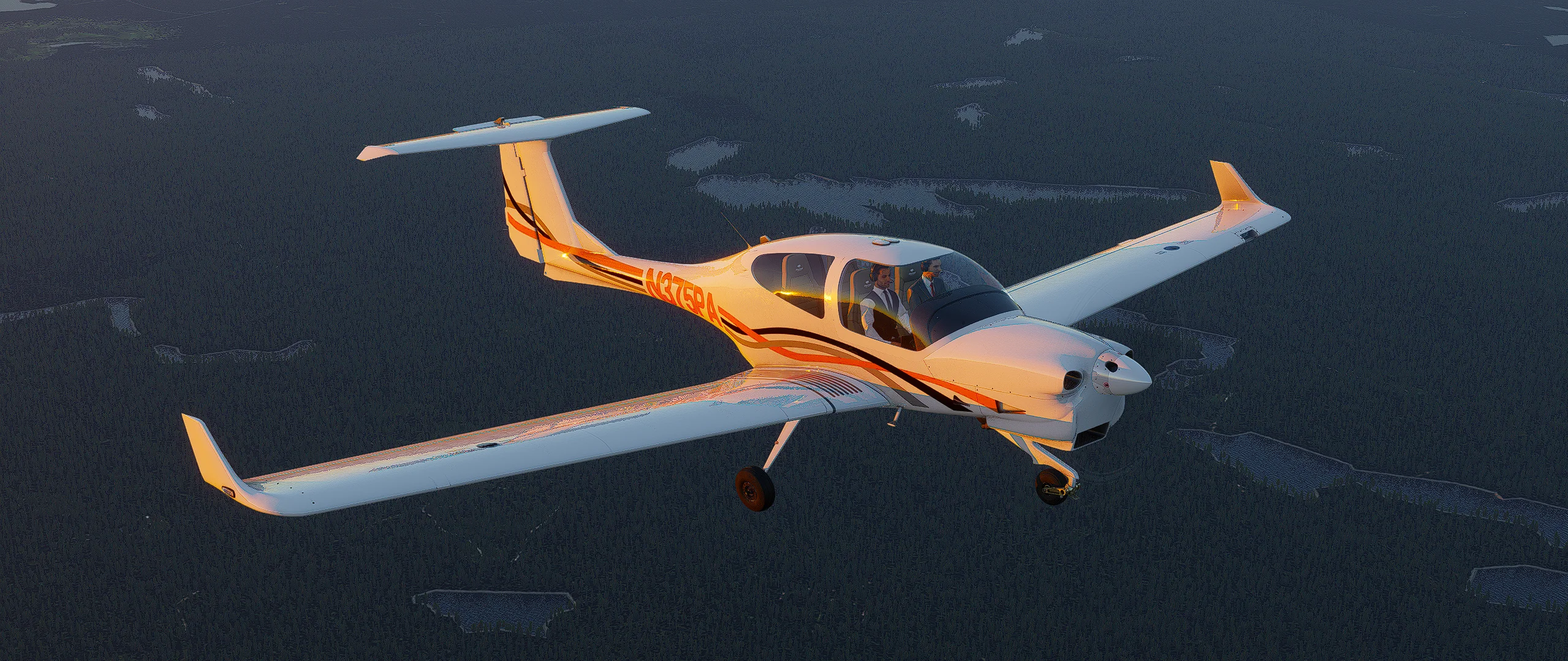 SimSolutions DA40NG - Image 10