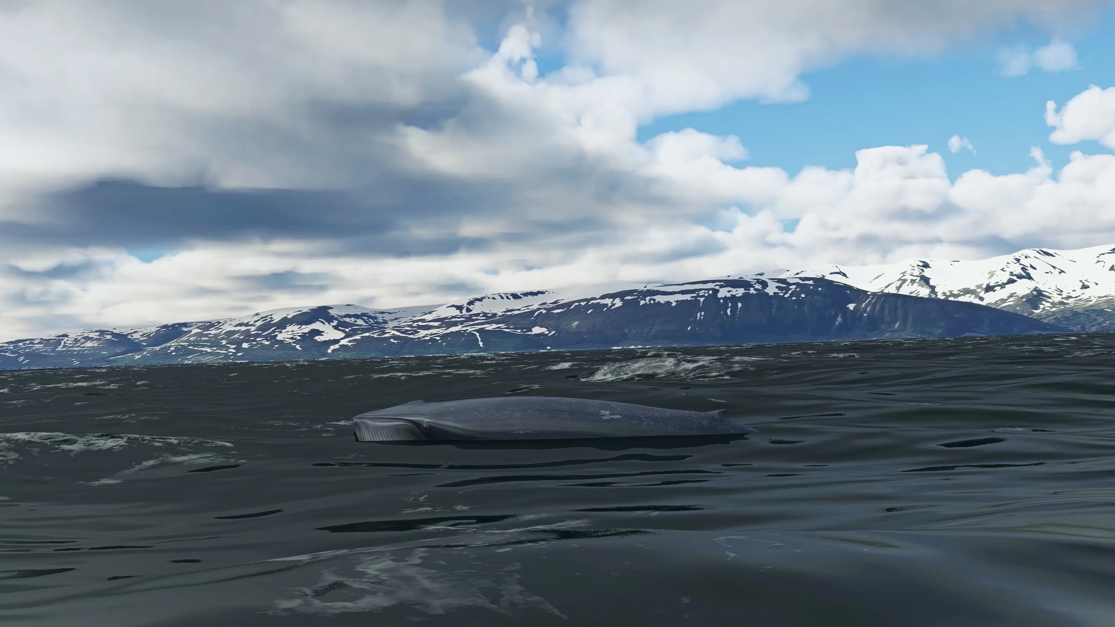 SoFly Animals for MSFS-2020 - Image 19