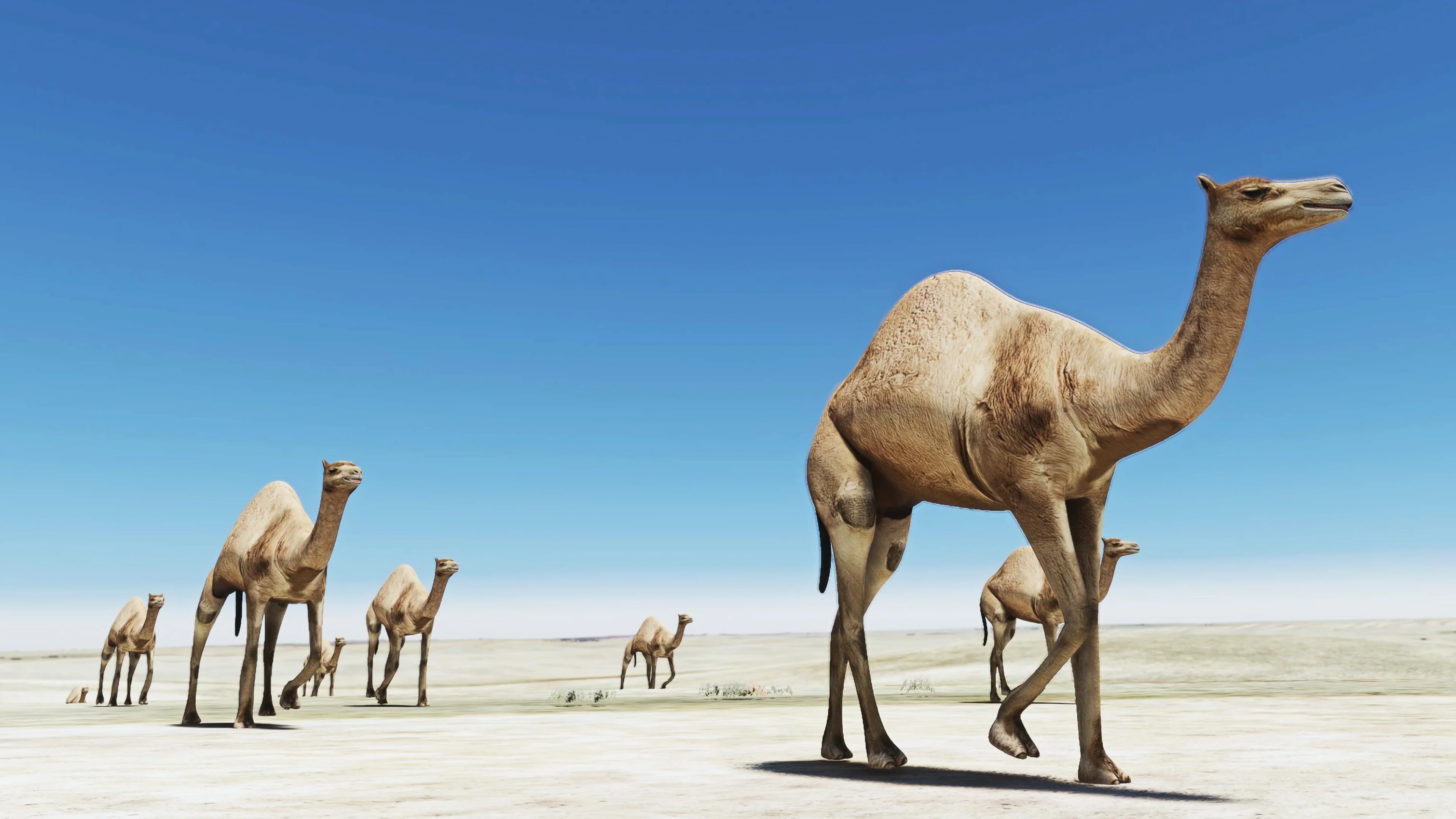 SoFly Animals for MSFS-2020 - Image 20